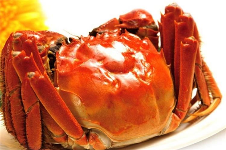 金秋時令大閘蟹（位上）