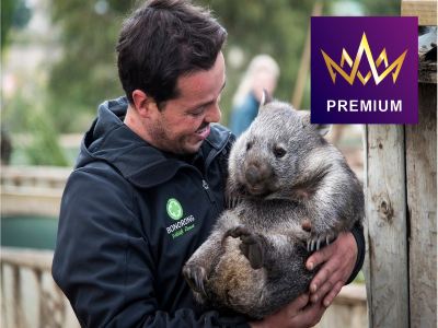 塔斯曼尼亞、墨爾本體驗現代塵世之美 8天團/季節限定~親身體驗採摘新鮮水果的樂趣/到訪野生動物園,探訪塔省獨有且瀕危動物的塔斯曼尼亞魔鬼~袋獾 塔斯曼尼亞、墨爾本體驗現代塵世之美 8天團/季節限定~親身體驗採摘新鮮水果的樂趣/到訪野生動物園,探訪塔省獨有且瀕危動物的塔斯曼尼亞魔鬼~袋獾