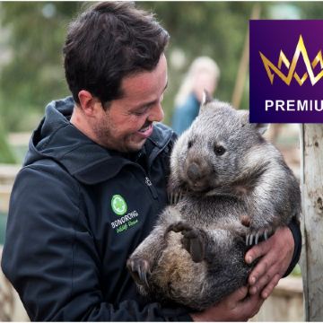 【🍓採摘新鮮水果】塔斯曼尼亞、墨爾本體驗現代塵世之美 8天團/季節限定~親身體驗採摘新鮮水果的樂趣/到訪野生動物園，探訪塔省獨有且瀕危動物的塔斯曼尼亞魔鬼~袋獾