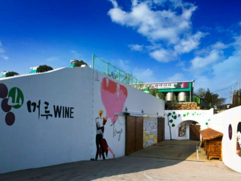 坡州山葡萄農園