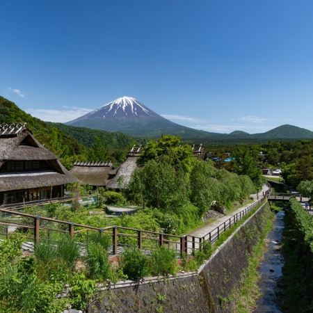 東京、茨城 夏日5天賞景之旅  日立海濱公園浪漫花海、大洗磯前神社、絕美海上鳥居~神磯之鳥居、「世界三大高佛像」牛久大佛、富士山五合目、富士合掌村、酒酒井Premium Outlets