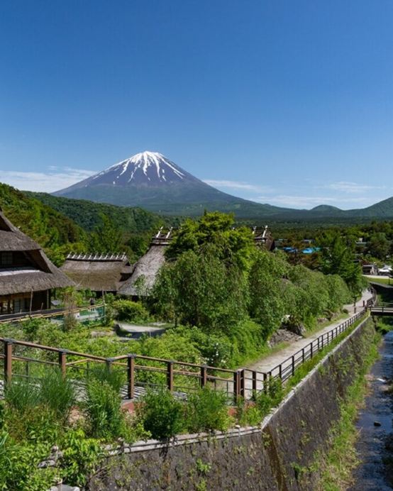 東京、茨城 夏日5天賞景之旅  日立海濱公園浪漫花海、大洗磯前神社、絕美海上鳥居~神磯之鳥居、「世界三大高佛像」牛久大佛、富士山五合目、富士合掌村、酒酒井Premium Outlets