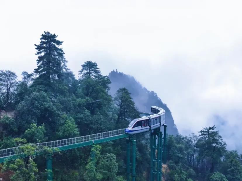大覺山懸崖動車