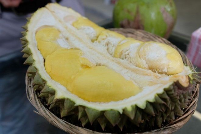 任食馬來西亞各種榴槤