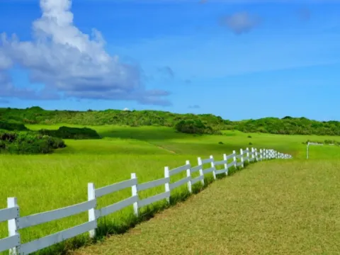 「台版紐西蘭」水蛙窟大草原