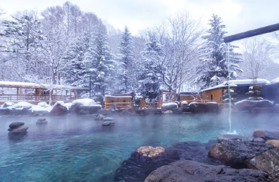 北湯澤 綠之風度假村溫泉酒店(或同級)