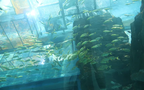 樂從天佑城海洋館