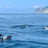 宜蘭龜山島賞鯨豚+台北+淡水蘊泉莊溫泉5天團 保證入住1晚蘊泉庄溫泉酒店(私人溫泉客房)、幾米廣場、羅東夜市、羅東林業文化園區、蘭陽博物館(外觀)、八里左岸