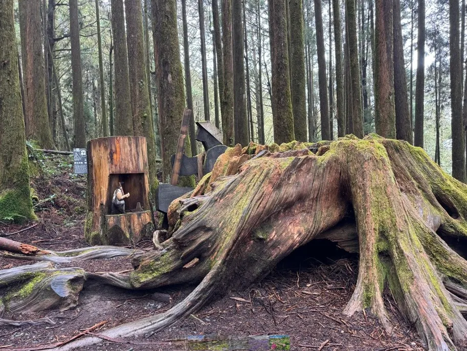 阿里山森林風景區
