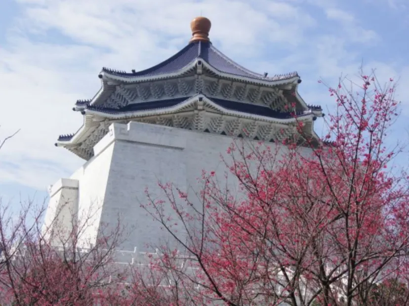 中正紀念堂櫻花