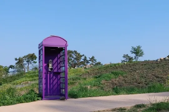 朴只島紫色電話亭