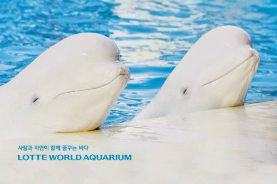 樂天世界水族館