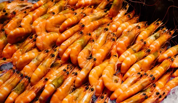 酒店豪華海鮮自助餐