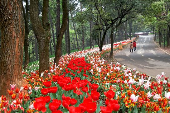 湖南省森林植物園