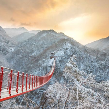 首爾 5天韓冬玩樂之旅  ※「DMZ非武裝地帶」臨津閣展望臺~和平Nuri公園~自由橋、紺嶽山吊索橋、恩平韓屋村、潮遊明洞、弘大購物區、汝矣島現代百貨旗艦店「The Hyundai Seoul」