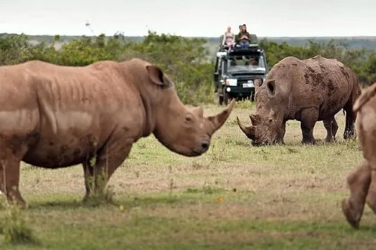 索伊辛布保護區
