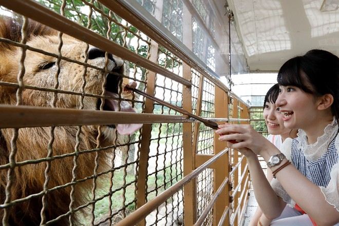 九州自然動物公園