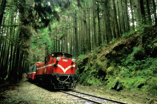 阿里山森林小火車
