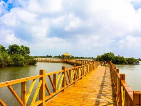 黃河口生態旅遊區