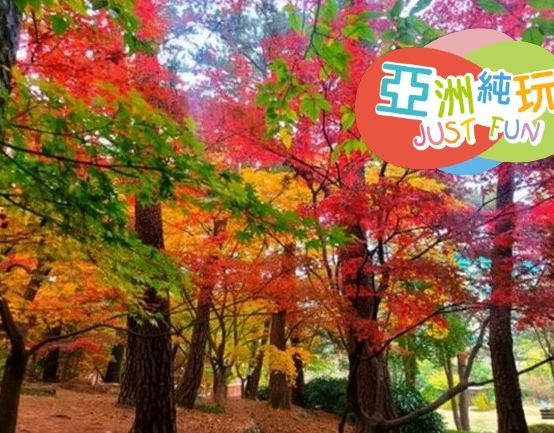 釜山深度秋楓7天尋味之旅 ※大韓航空商務客位來回 ※韓食最強攻略 ※純玩團*不設指定購物點 ※金井山梵魚寺、金剛公園+纜車體驗、華明樹木園、大渚生態公園  ※對馬島一天遊  