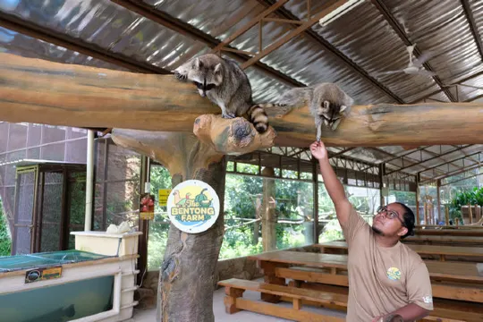 文冬休閒農場 動物