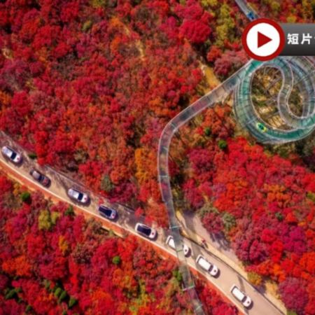 《季節限定》【國泰航空】🍁 秋韻齊魯~山東紅葉賞秋🍁5天升純團  青島(八大關🍁、啤酒博物館)、淄博(紅葉柿岩景區🍁)、泰安(五嶽之首~泰山)、濟南(紅葉谷生態文化旅遊區🍁)