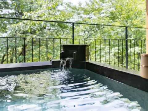 修善寺拉福雷山紫水明