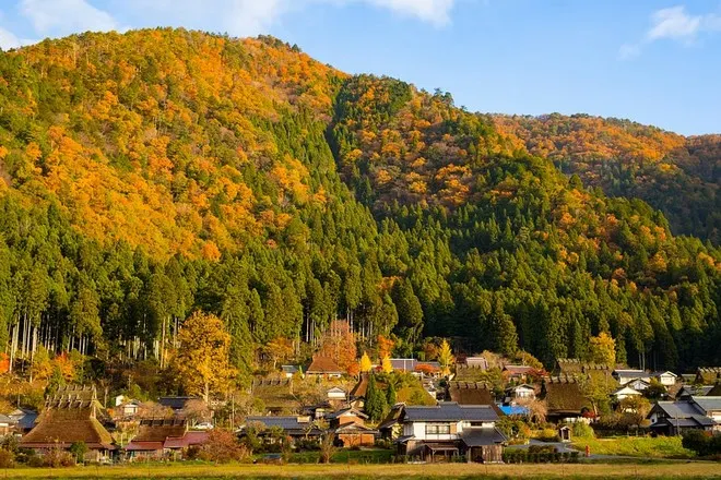 美山町矛屋