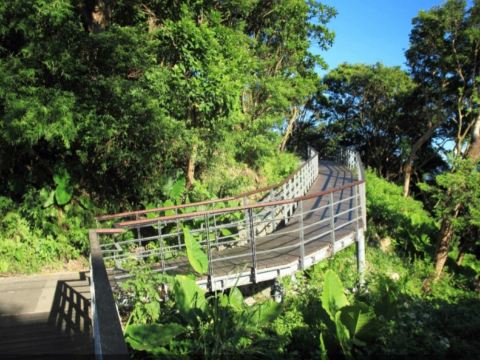 觀音山林梢步道