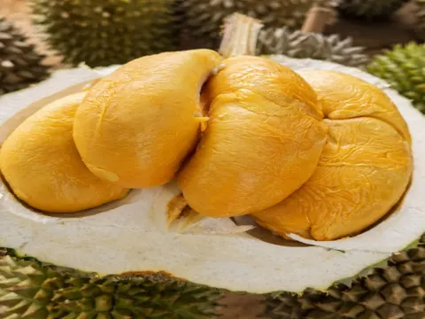 8321榴槤園檳城山中果王