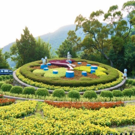 台北+陽明山賞花+桃園 秘景4天 永安漁港、土地公文化館、石門水庫、陽明山公園(冷水坑生態池、牛奶湖、菁山吊橋與落羽松步道)、迎富送窮廟、忠烈祠【免費代辦台灣簽證(網證)*】