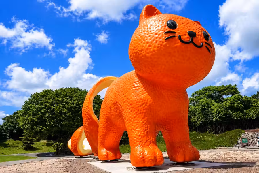 濟州 6天韓遊之旅 ※史努比庭園Snoopy Garden、Dolcori Forest貓咪主題樂園、Camellia Hill山茶花之丘、涯月海邊BOMNAL Cafe、海女博物館、城山日出峰