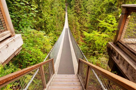 卡佩蘭奴吊橋公園