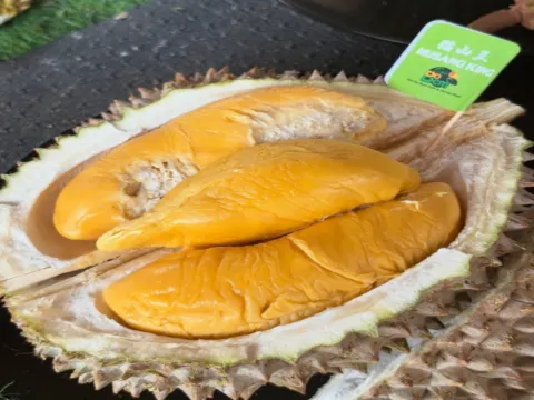 馬六甲果園Eco Do Bem Farm