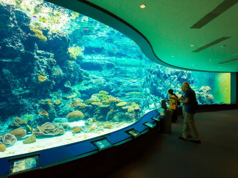 海洋博公園~沖繩美麗海水族館