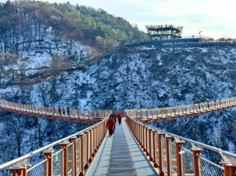 漢灘江Y型懸索吊橋