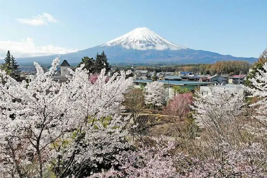 富士河口湖庭園