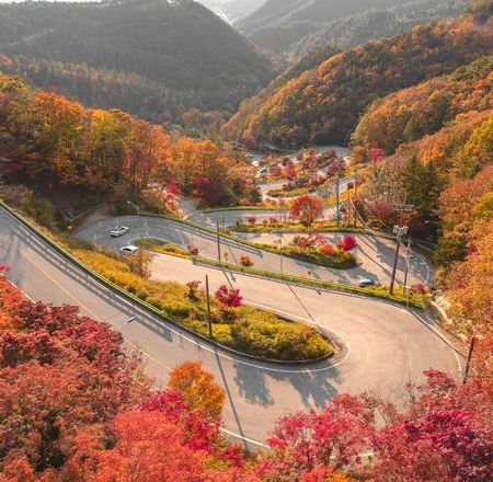 忠清道+首爾6天秋色之旅 ※俗離山國立公園*法住寺、馬踢嶺觀景台、木鐸峰展望台+MonoRail、大田樹木園、儒城溫泉足浴、大清湖畔青南臺、世宗總統紀念展示館、德壽宮石牆路、馬場湖水吊索橋