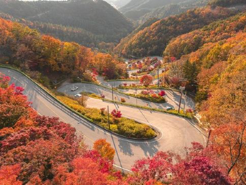 遊盆栽10山紅葉 京都的紅葉秘境：西山的靜謐之美
