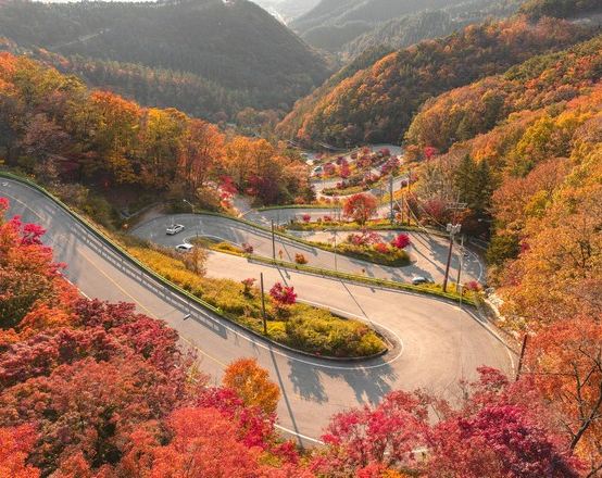 忠清道+首爾6天秋色之旅 ※俗離山國立公園*法住寺、馬踢嶺觀景台、木鐸峰展望台+MonoRail、大田樹木園、儒城溫泉足浴、大清湖畔青南臺、世宗總統紀念展示館、德壽宮石牆路、天空公園、西大門弘濟瀑布