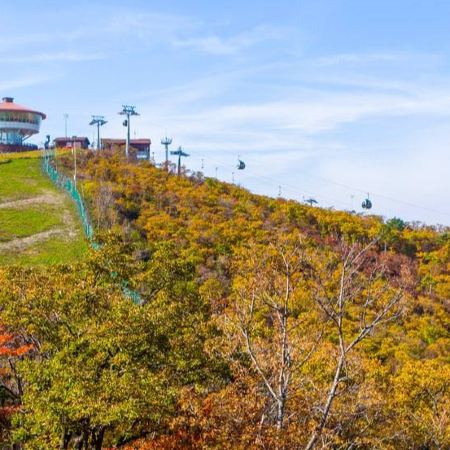 旌善+首爾 5天秋遊之旅【2晚 High1 Resort + 觀光纜車+瞭望塔+ 雲岩亭】旌善Rail Bike、之字形蒸汽觀光火車、丹陽滿天下SKY WALK、堤川義林池~龍湫瀑布玻璃觀景台