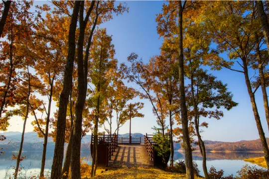 橫城湖水散步路