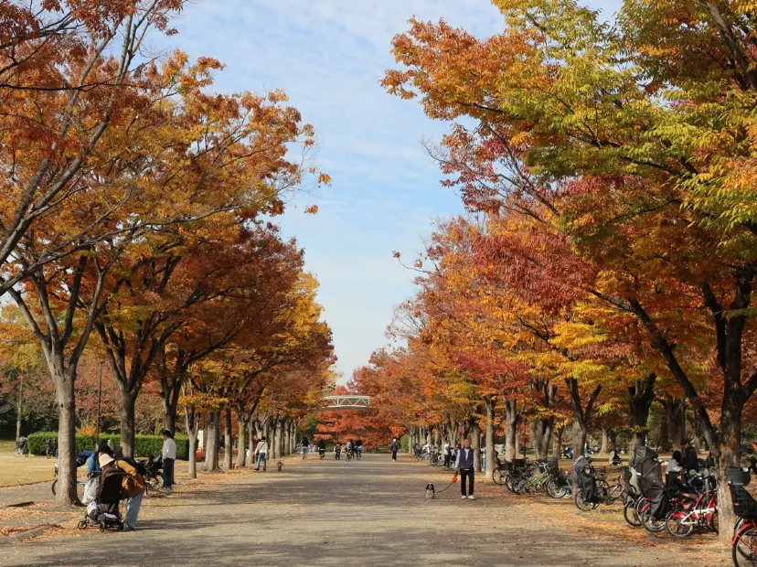 花博記念公園鶴見綠地