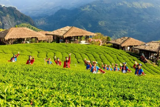 優遊吧斯鄒族文化部落