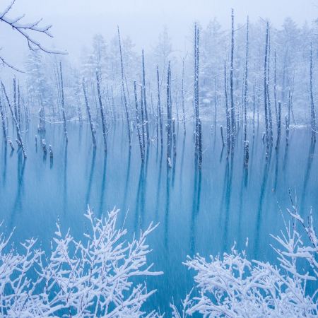 北海道十勝Sahoro滑雪度假村、冬の美瑛6天之旅   《保證入住2晚》Sahoro溫泉滑雪酒店 包教練滑雪課程/化石博物館+幸福車站