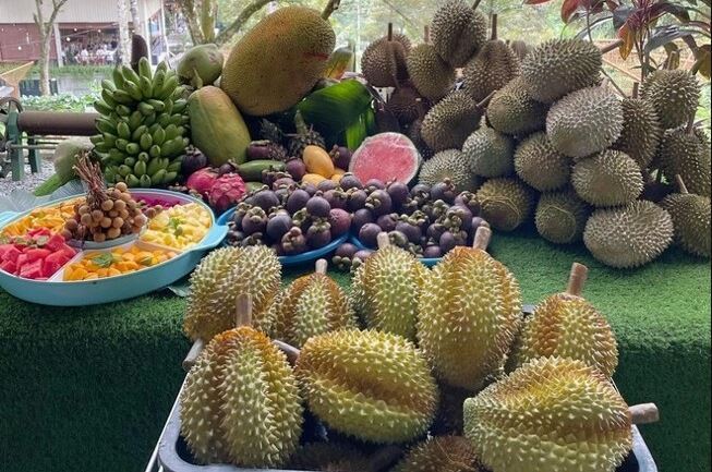 人氣果園~ Orchard Hill