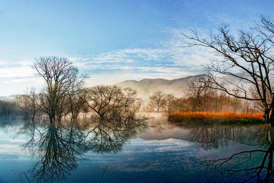 大九湖國家濕地公園