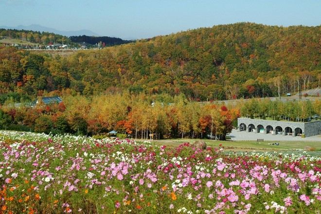國營瀧野鈴蘭丘陵公園