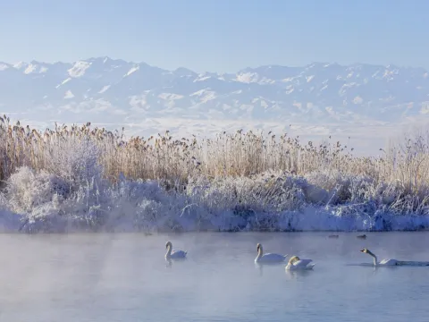 天鵝泉濕地公園