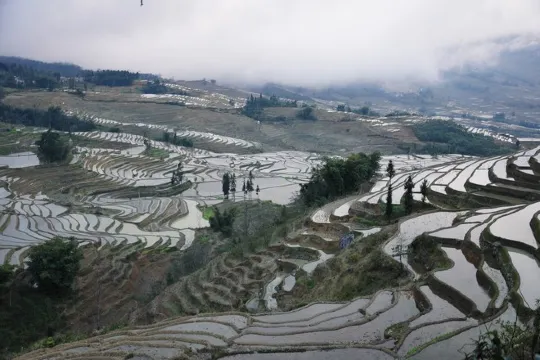 壩達梯田